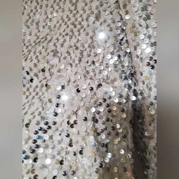Sanctuary All nighter Silver Sequined Champagne Long Sleeve Top Size Small - Picture 6 of 7